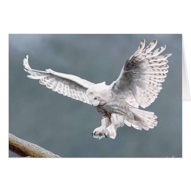 Snowings Hälsningskort (Framsidan Horizontal)