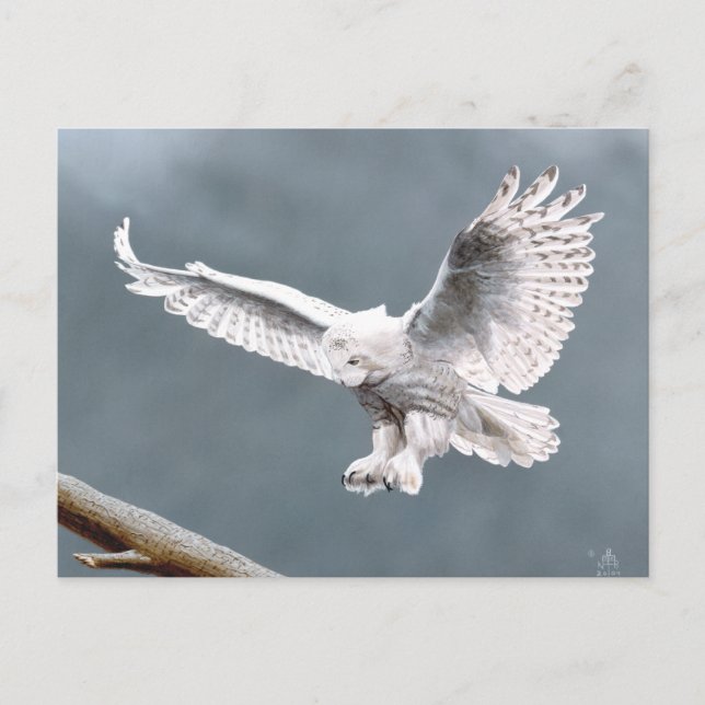 Snowings Vykort (Framsida)