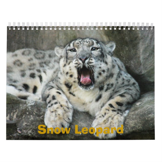 SnowLeopardBCR007 snöLeopard Kalender (Omslag)