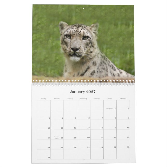 SnowLeopardBCR012 snöLeopard Kalender (Jan 2027)