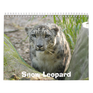 SnowLeopardBCR012 snöLeopard Kalender