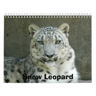 SnowLeopardM002 snöLeopard Kalender