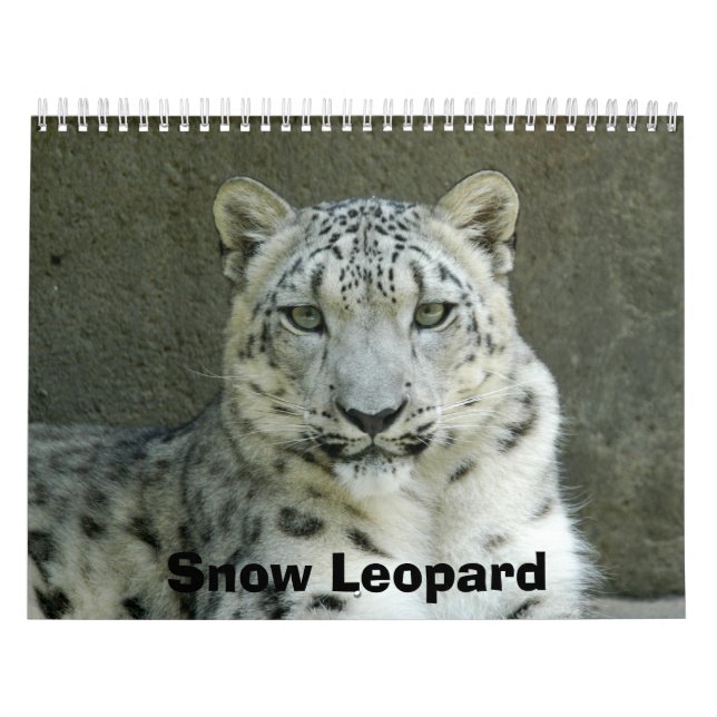 SnowLeopardM002 snöLeopard Kalender (Omslag)
