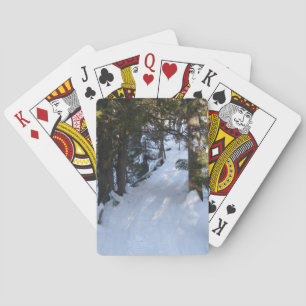 Snowmobile Trail-Birthday Casinokort