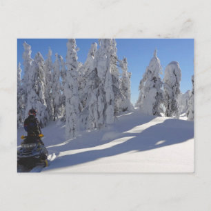 Snowmobiler Winterscape-vykort Vykort