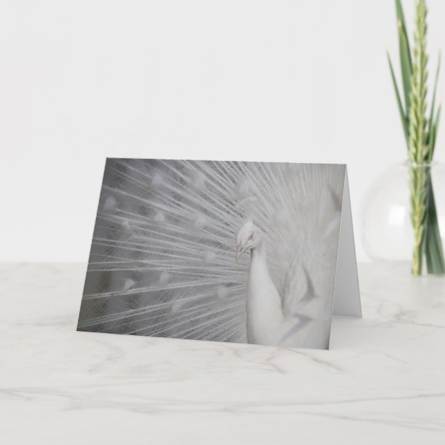 SnowPeacock Tack Kort (Framsida)