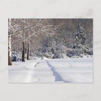 Snowscape. Ett vykort för Säsong.