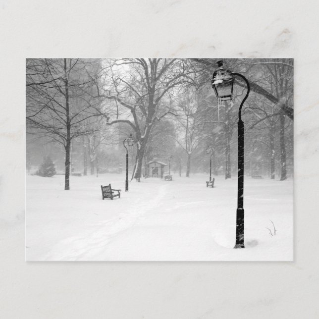 Snowscape II, Philadelphia Vykort (Framsida)