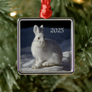 Snowshoe Hare, Denali National Park, Alaska Julgransprydnad Metall