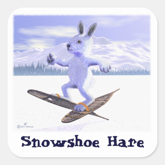 Snowshoe Hare Fyrkantigt Klistermärke (Framsida)