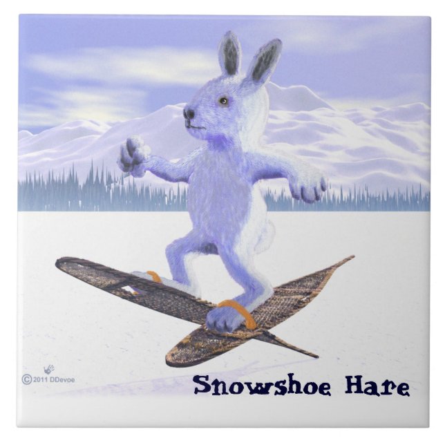 Snowshoe Hare Kakelplatta (Framsidan)