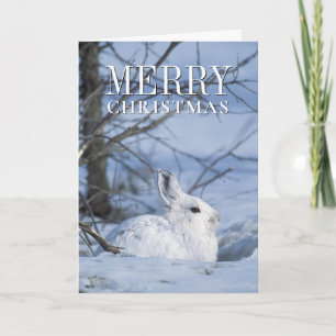 Snowshoe Hare Resting i Snö Helgkort
