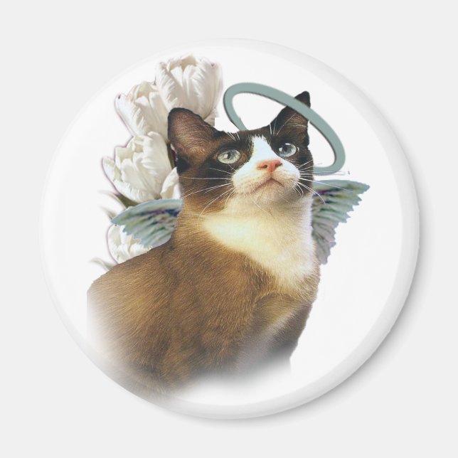 Snowshoe Perfekt Angel Magnet (Framsidan)