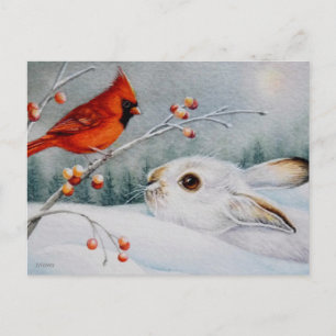 Snowshoe Rabbit & Red Cardinal Bird Watercolor Art Vykort
