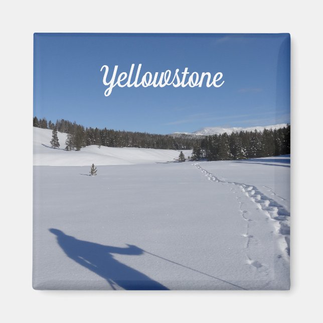 Snowshoeing in Yellowstone National Park Magnet (Framsidan)