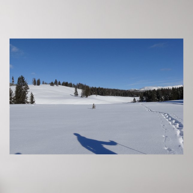 Snowshoeing in Yellowstone National Park Poster (Framsidan)