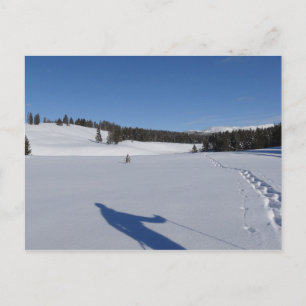 Snowshoeing in Yellowstone National Park Vykort