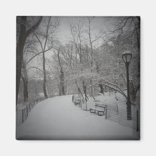 Snowstorm Central Park, New York City Magnet