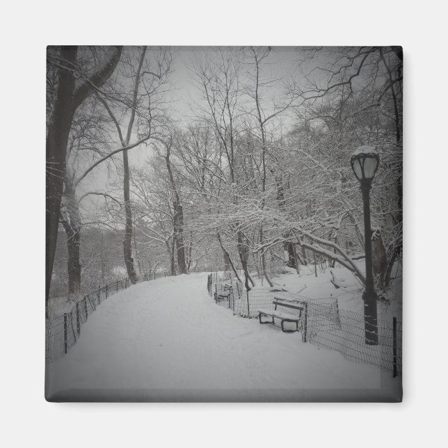 Snowstorm, Central Park, New York City Magnet (Framsidan)