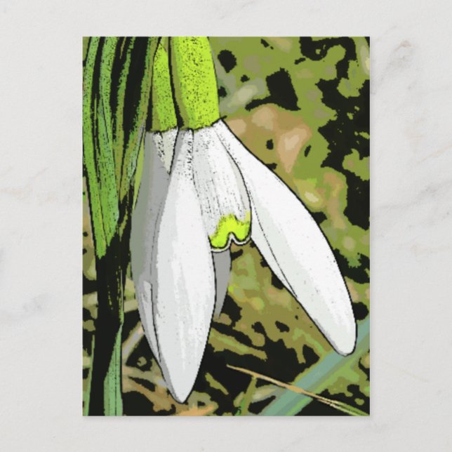 Snowtoons Vykort (Framsida)