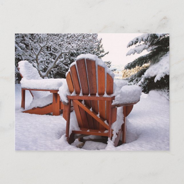 Snowy Adirondack-stolar i Winter Photo Vykort (Framsida)