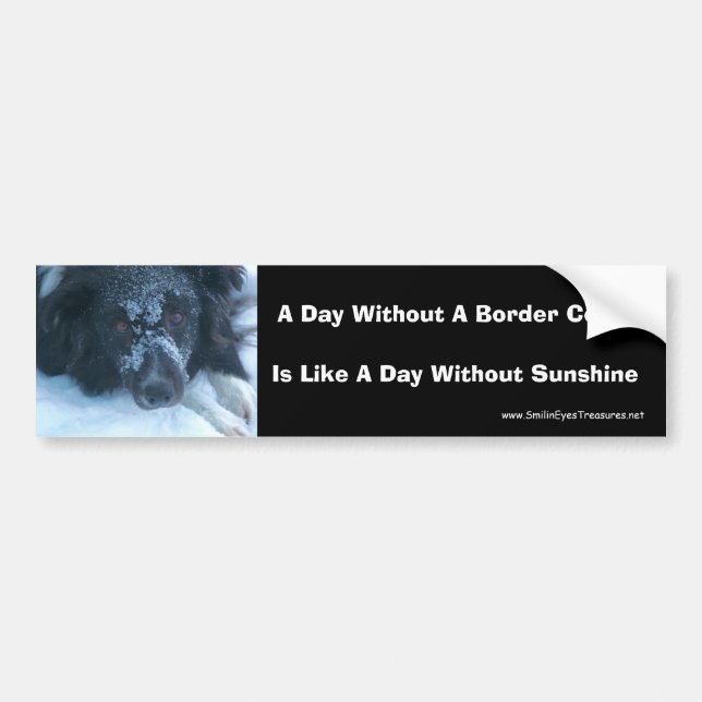 Snowy Ansikte Collie Cute Hund Bumper Sticker Bildekal (Framsidan)