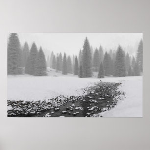 Snowy Bäck Poster