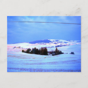 Snowy backe vykort