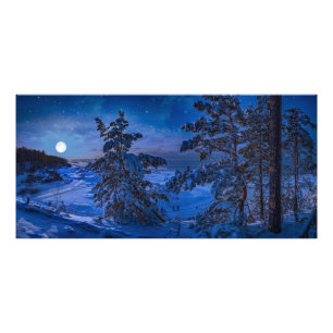 Snowy Baltic Sea kusten med fir träd på natten Fototryck