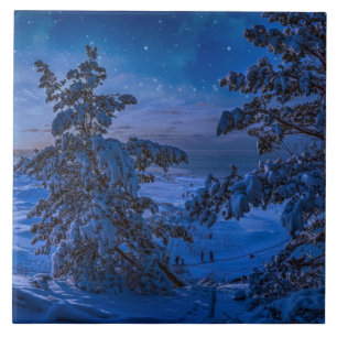 Snowy Baltic Sea kusten med fir träd på natten Kakelplatta