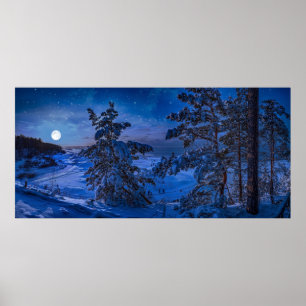 Snowy Baltic Sea kusten med fir träd på natten Poster