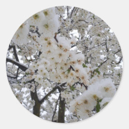 Snowy Blossom Sticker Runt Klistermärke