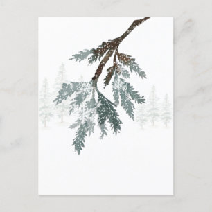 Snowy Blue Spruce Gren Winter Woodland Scene Vykort