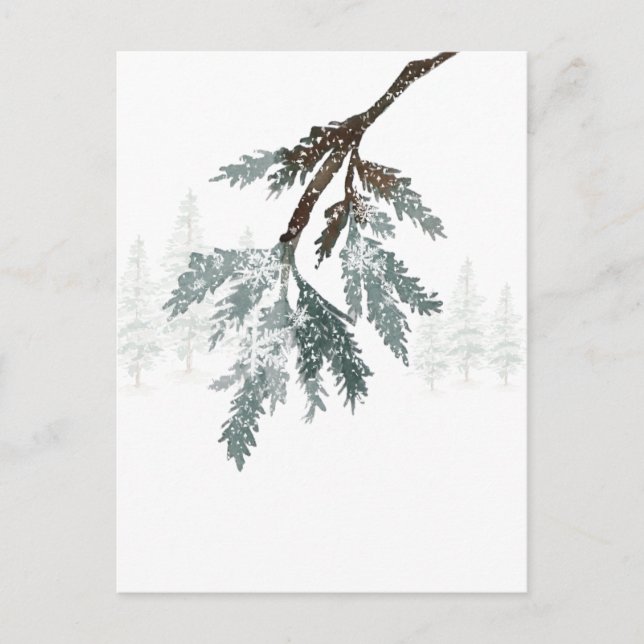 Snowy Blue Spruce Gren Winter Woodland Scene Vykort (Framsida)