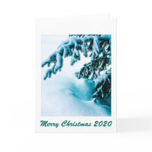 Snowy Bough Note Card