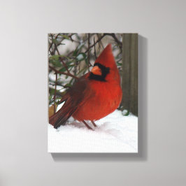 Snowy Cardinal Canvastryck