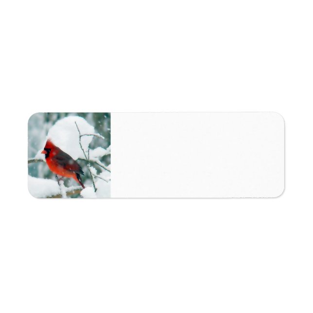Snowy Cardinal Returadress Etikett (Framsidan)