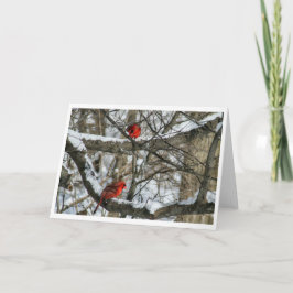 Snowy Cardinals Kort