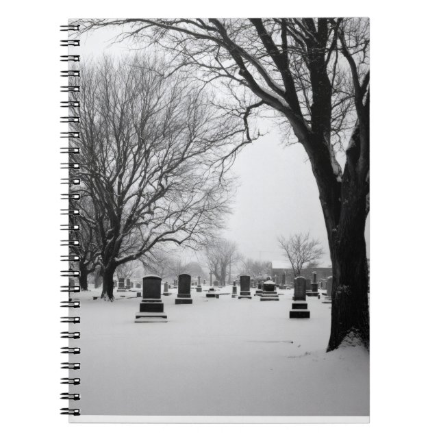 Snowy Cemetery Stillness bärbar dator Anteckningsbok (Framsidan)