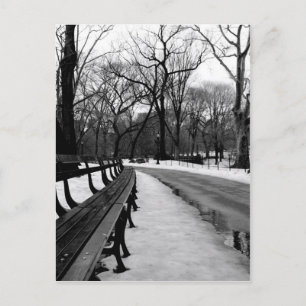 Snowy Central Park Vykort