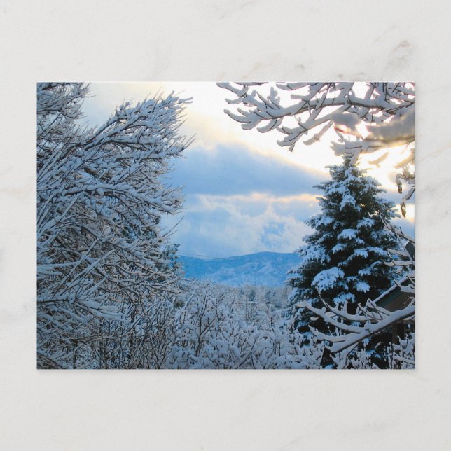 Snowy Colorado Vykort (Framsida)