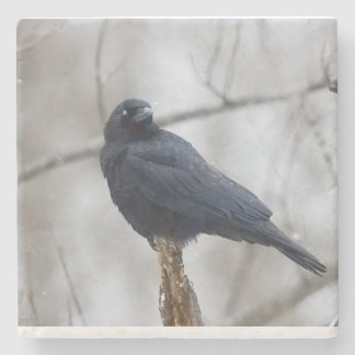 Snowy_Crow_Coaster Stenunderlägg