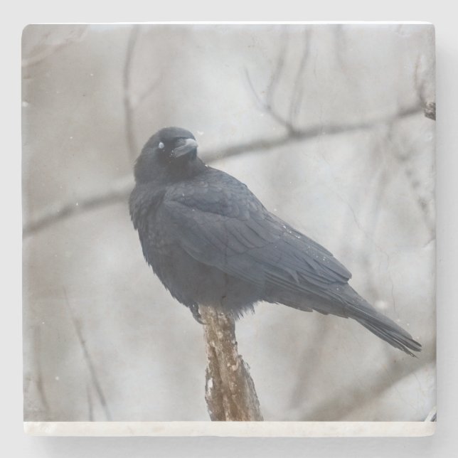 Snowy_Crow_Coaster Stenunderlägg (Framsidan)