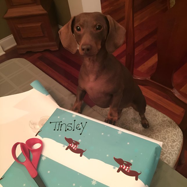 Snowy Dachshund Scarf Gift Wrap Wrapping papper Presentpapper (Dachshund through the snow gift wrap or wiener wonderland wrapping paper!)