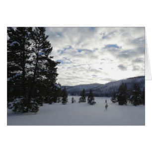 Snowy Day i Yellowstone National Park Hälsningskort