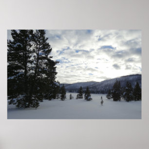 Snowy Day i Yellowstone National Park Poster