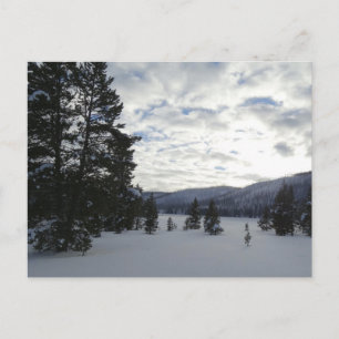 Snowy Day i Yellowstone National Park Vykort