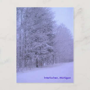 snowy day, Interlochen, Michigan Vykort
