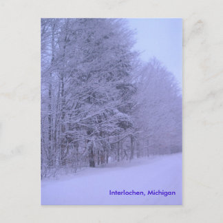snowy day, Interlochen, Michigan Vykort