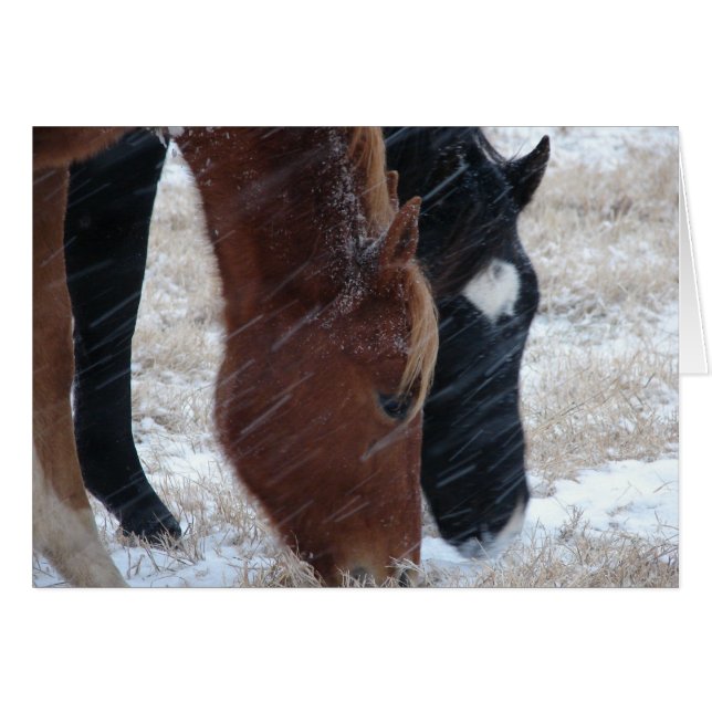 Snowy Eats, födelsedag Hälsningskort (Framsidan Horizontal)